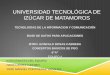 UNIVERSIDAD  TECNOLÓGICA  DE  IZÚCAR  DE MATAMOROS