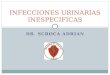 INFECCIONES URINARIAS INESPECIFICAS