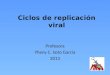 Ciclos de replicación viral