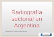 Radiografía sectorial en Argentina