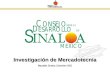 Investigación de Mercadotecnia Mazatlán Sinaloa, Diciembre 2001