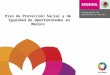 Piso de  Protección Social y de  Igualdad de Oportunidades en Mexico