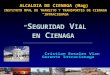 ALCALDIA DE CIENAGA (Mag)  INSTITUTO MPAL DE TRANSITO Y TRANSPORTES DE CIENAGA  “INTRACIENAGA”