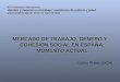 MERCADO DE TRABAJO, GENERO Y COHESION SOCIAL EN ESPAÑA: MOMENTO ACTUAL Carlos Prieto (UCM)