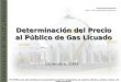 Determinación del Precio al Público de Gas Licuado