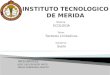 INSTITUTO TECNOLOGICO DE MERIDA