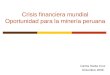 Crisis financiera mundial Oportunidad para la minería peruana