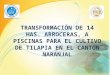 TRANSFORMACIÓN DE 14 HAS. ARROCERAS, A PISCINAS PARA EL CULTIVO DE TILAPIA EN EL CANTÓN NARANJAL