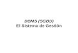 DBMS (SGBD) El Sistema de Gestión