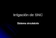 Irrigación de SNC