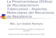 BSc. Jun Sotelo Romero Unidad de Bioinformática y Biología Computacional LID-UPCH