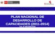 PLAN NACIONAL DE DESARROLLO DE CAPACIDADES (2011-2014) D.S. Nº 004-2010-PCM