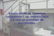 Erradicación de  Fusarium oxysporum  f. sp.  melonis  raza 1.2 con un prototipo de microondas