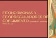 FITOHORMONAS Y  FITORREGULADORES DEL CRECIMIENTO  (basado en Salisbury & Ross, 2000)
