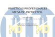 PRÁCTICAS PROFESIONALES MESA DE PROYECTOS