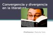 Convergencia y divergencia en la literatura