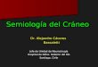 Semiología del Cráneo  Dr. Alejandro Cáceres        Bassaletti  Jefe de Unidad de Neurocirugía