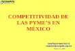 COMPETITIVIDAD DE LAS PYME’S EN MÉXICO