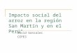 Impacto social del arroz en la región San Martín y en el Perú"