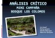 Análisis crítico Mini Campaña  Bosque Los  Colomos