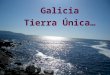 Galicia Tierra Única…