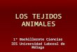 LOS TEJIDOS ANIMALES