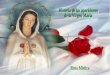 Historia de las apariciones  de la Virgen María