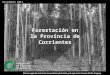 Forestación en la Provincia de Corrientes
