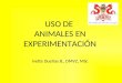 USO DE  ANIMALES EN EXPERIMENTACIÓN Ivette Dueñas B., DMVZ,  MSc