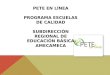 PETE EN LÍNEA PROGRAMA ESCUELAS DE CALIDAD SUBDIRECCIÓN REGIONAL DE EDUCACIÓN BÁSICA AMECAMECA