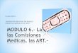 MODULO 6.- La SRT, las Comisiones Medicas, las ART.-