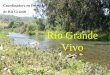 Río Grande Vivo