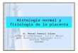 Histología normal y fisiología de la placenta