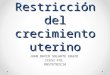 Restricción del crecimiento uterino
