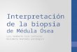 Interpretación de la biopsia  de Médula Ósea