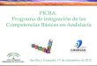 PICBA.  Programa de integración de las Competencias Básicas en Andalucía