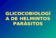 GLICOCOBIOLOGÍA DE HELMINTOS PARÁSITOS