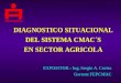 DIAGNOSTICO SITUACIONAL  DEL SISTEMA CMAC´S  EN SECTOR AGRICOLA
