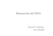 Reparación del DNA