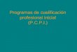Programas de cualificación profesional inicial (P.C.P.I.)