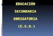 EDUCACIÓN  SECUNDARIA  OBRIGATORIA  (E.S.O.)