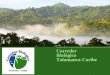 Corredor Biológico Talamanca-Caribe