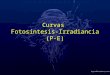 Curvas  Fotosíntesis-Irradiancia (P-E)