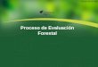 Proceso de Evaluación Forestal