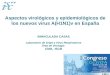 Aspectos virológicos y epidemiológicos de los nuevos virus A(H1N1)v en España
