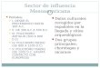 Sector de influencia Mesoamericana