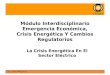 Módulo Interdisciplinario Emergencia Económica, Crisis Energética Y Cambios Regulatorios