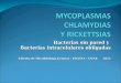 MYCOPLASMAS CHLAMYDIAS  Y RICKETTSIAS