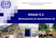 Módulo 5.1:  Microempresas de mantenimiento vial