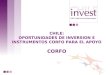 CHILE: OPORTUNIDADES DE INVERSION E INSTRUMENTOS CORFO PARA EL APOYO CORFO